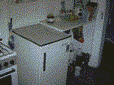 Kuku.gif (67535 Byte)
