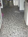 bod1.GIF (15638 Byte)